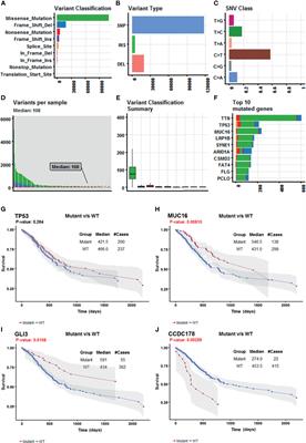 A Four−Gene-Based Risk Score With High Prognostic Value in Gastric Cancer